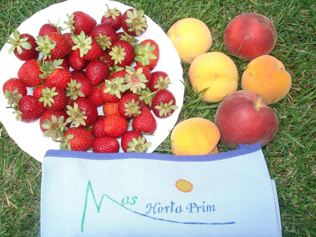 산트 페레 페스카도르 Mas Horta Prim 게스트하우스 외부 사진